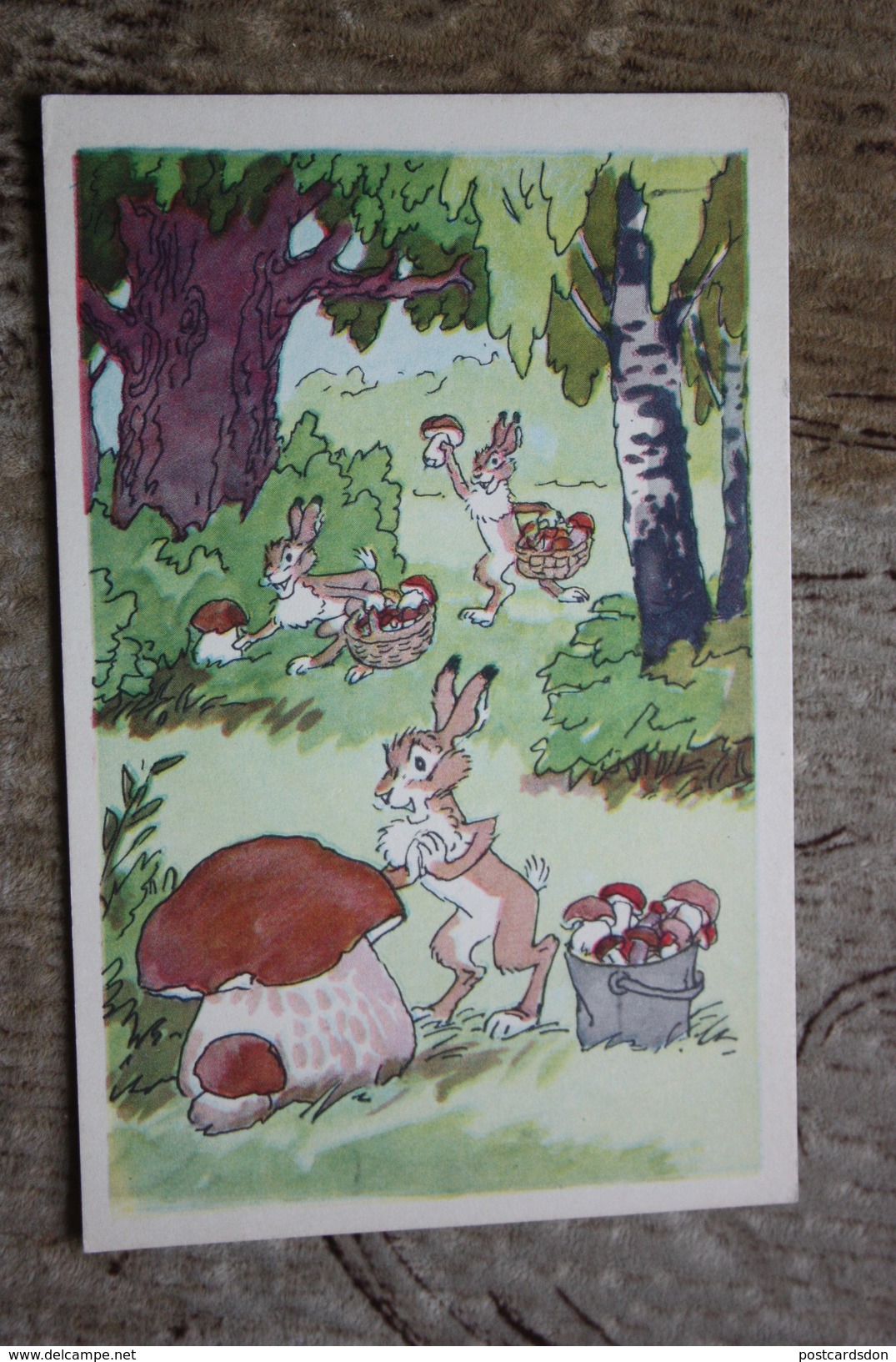 OLD USSR Postcard  - "BIG MUSHROOM" By Bazhenov  -   Champignon 1969 - Champignons