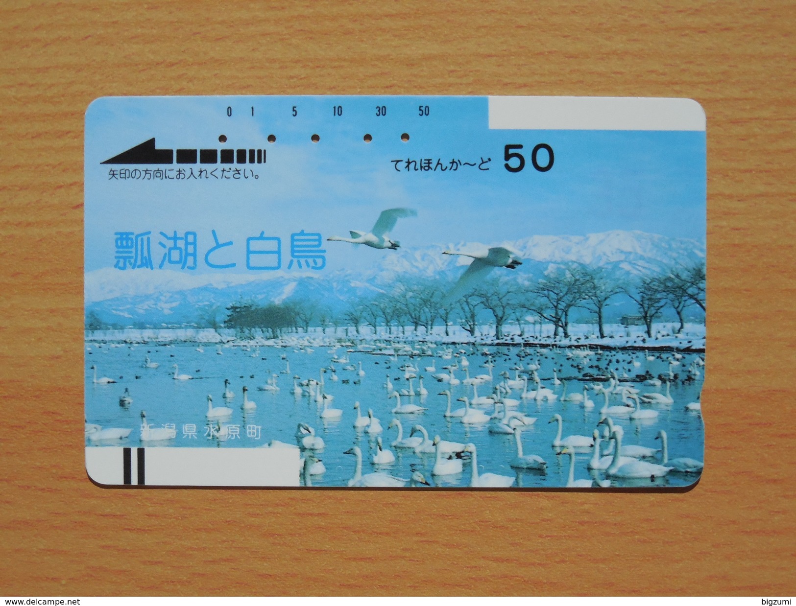 Japon Japan Free Front Bar, Balken Phonecard - 110-2508 / Swan, Schwan, Cygne - Passereaux