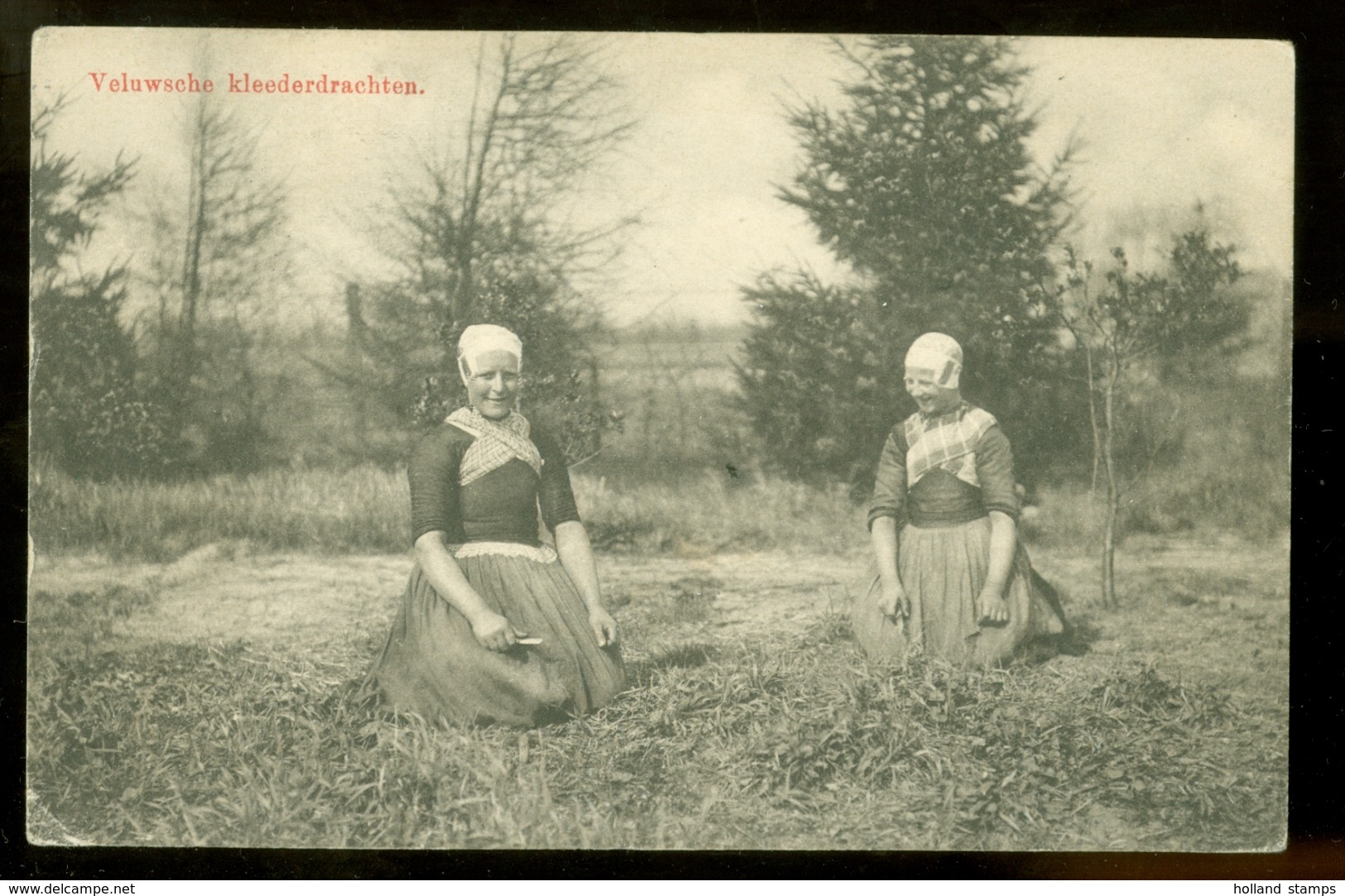 NEDERLAND HANDGESCHREVEN BRIEFKAART Uit 1909 Van NUNSPEET Naar BAD ELSTER DUITSLAND (10.621p) - Brieven En Documenten