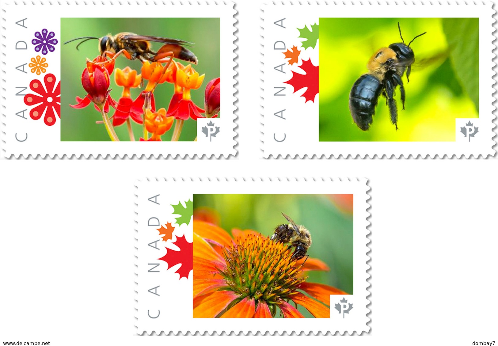 BEE, BUG, WASP, HONEYBEE Set Of 3 Picture Postage Stamps Canada 2017 P17-04be3 - Honeybees