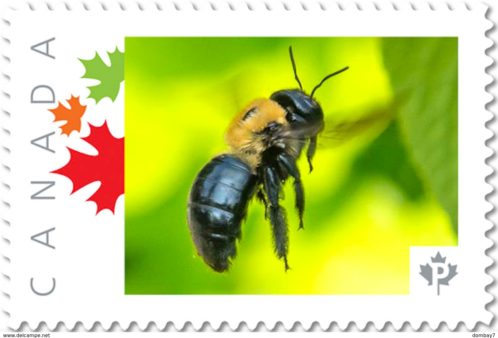 BEE, HONEYBEE Unique Personalized Picture Postage Stamp Canada 2017 P17-04be3-1 - Honeybees