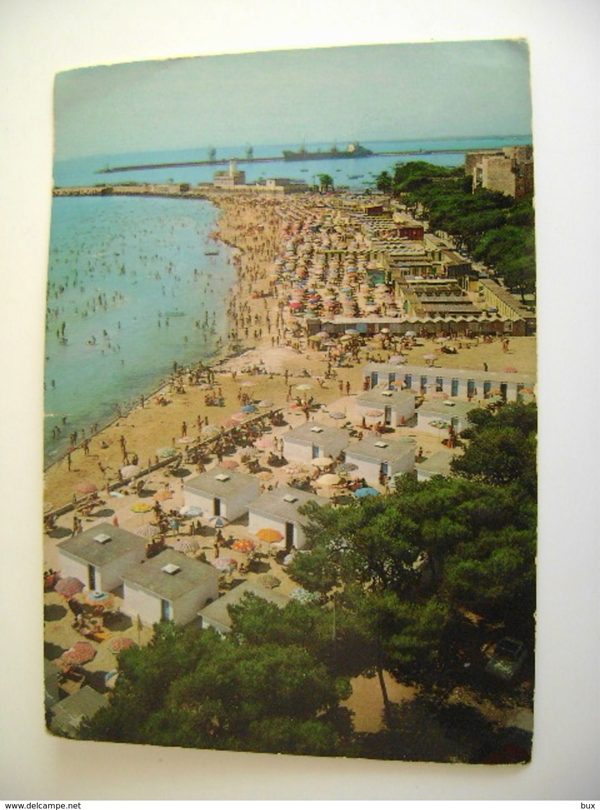 MANFREDONIA SPIAGGIA  -   FOGGIA   PUGLIA   VIAGGIATA  COME DA FOTO - Manfredonia