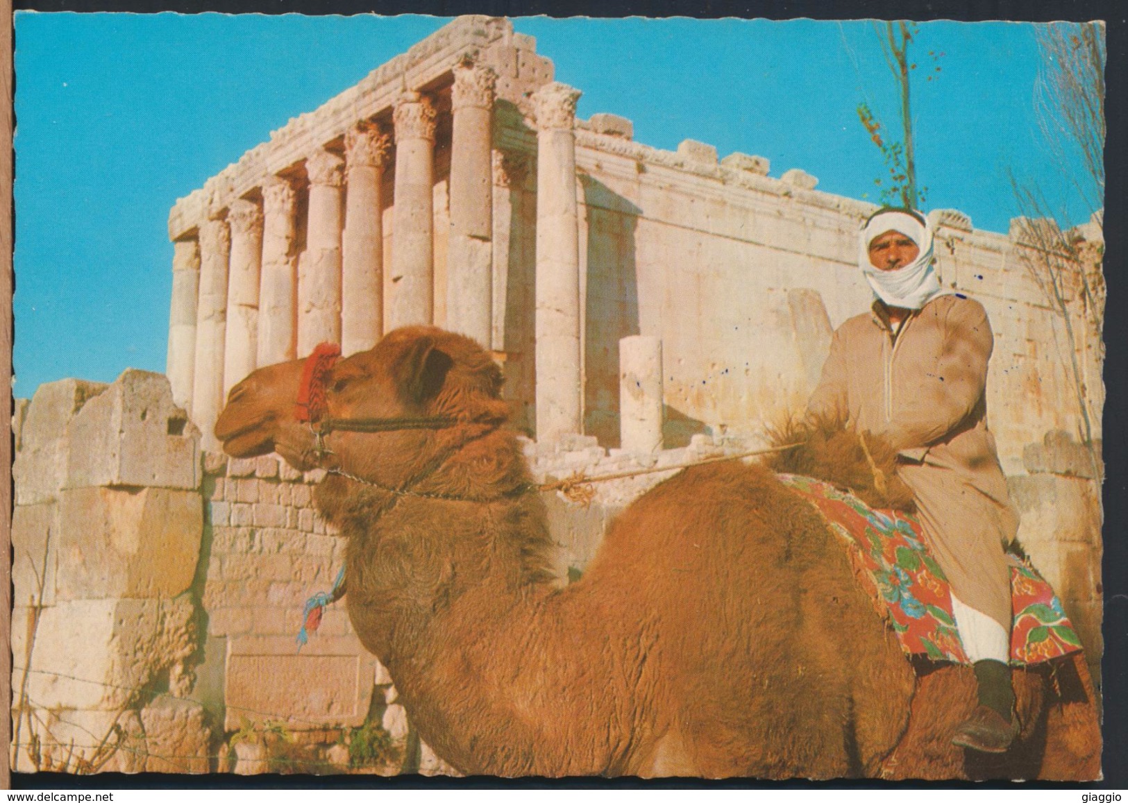 °°° 3877 - LEBANON LIBAN - BAALBECK - TEMPLE DE BACCHUS °°° - Libano