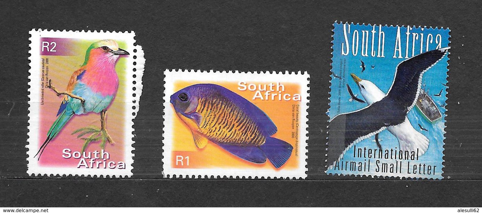 SOUTH AFRICA  Birds  2000 - 2010  NUOVI /NSG Lot Lotto - Ungebraucht