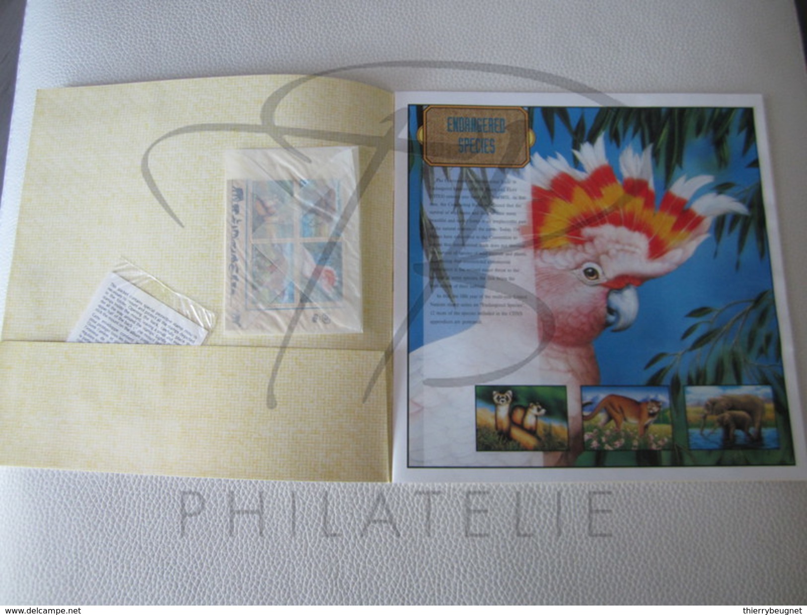 BELLE COLLECTION DE DOCUMENTS AVEC TIMBRES ET DE CARNETS DES NATIONS UNIES - NEW-YORK-GEVIENNE-VIENNE , XX !!!