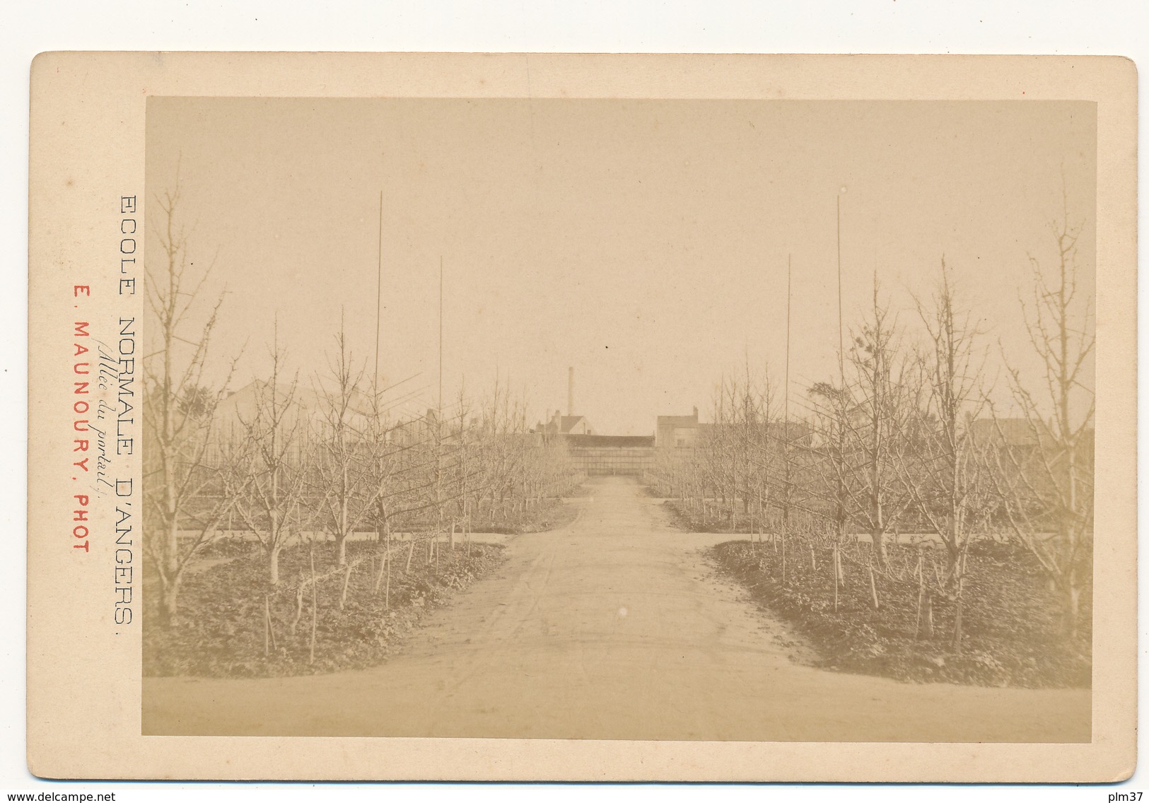 ANGERS, Ecole Normale 1878 - Photo Maunoury Format Cabinet Contrecollée Sur Carton Fort - 2 Scans - Anciennes (Av. 1900)