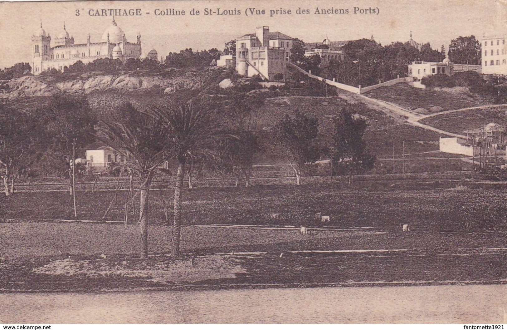 CARTHAGE COLLINE DE ST LOUIS VUE PRISE DES ANCIENS PORTS (PF2) - Túnez