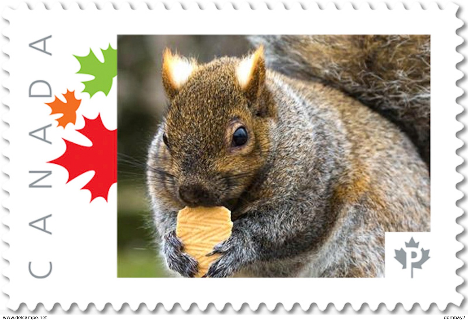 SQUIRREL With COOKIE Face UNIQUE Picture Postage Stamp Canada 2017 P17-04sq2-1 - Rodents