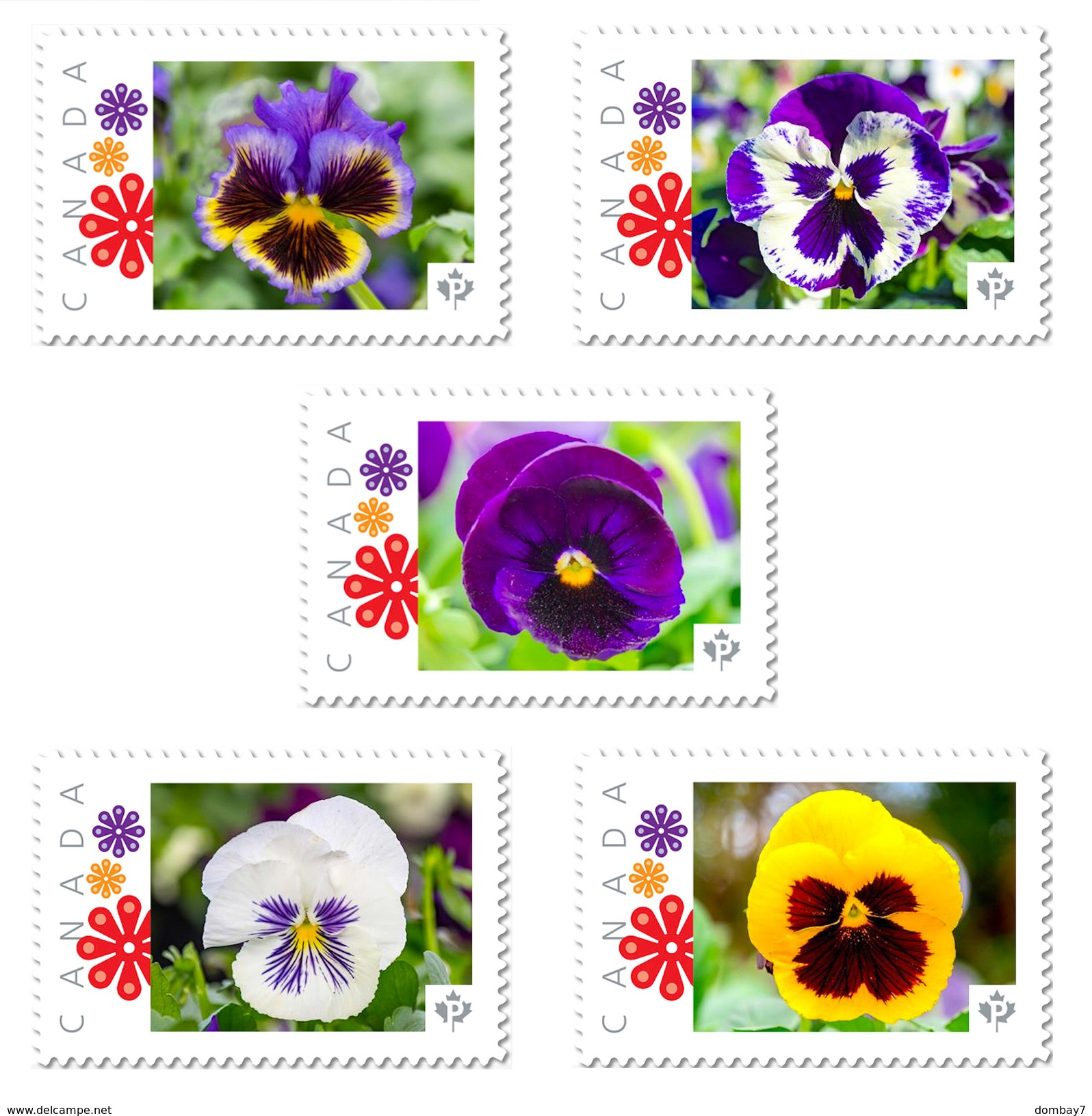 PANSY FLOWERS Set Of  5 UNIQUE Personalized Picture Postage Stamp Canada 2017 P17-04pa5 - Other & Unclassified