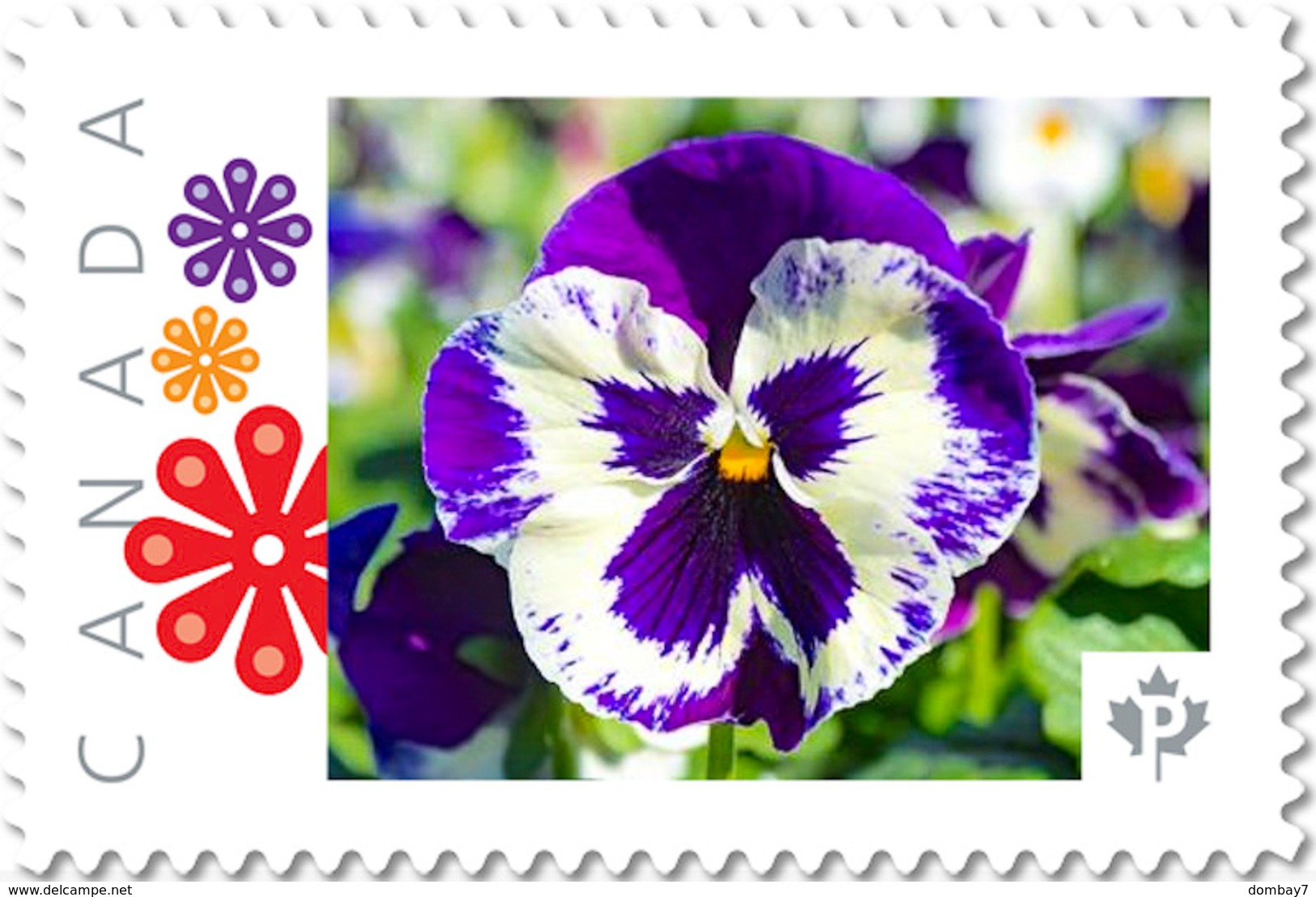 PANSY Purple-white FLOWER Unique Picture Postage Stamp Canada 2017 P17-04pa5-2 - Other & Unclassified