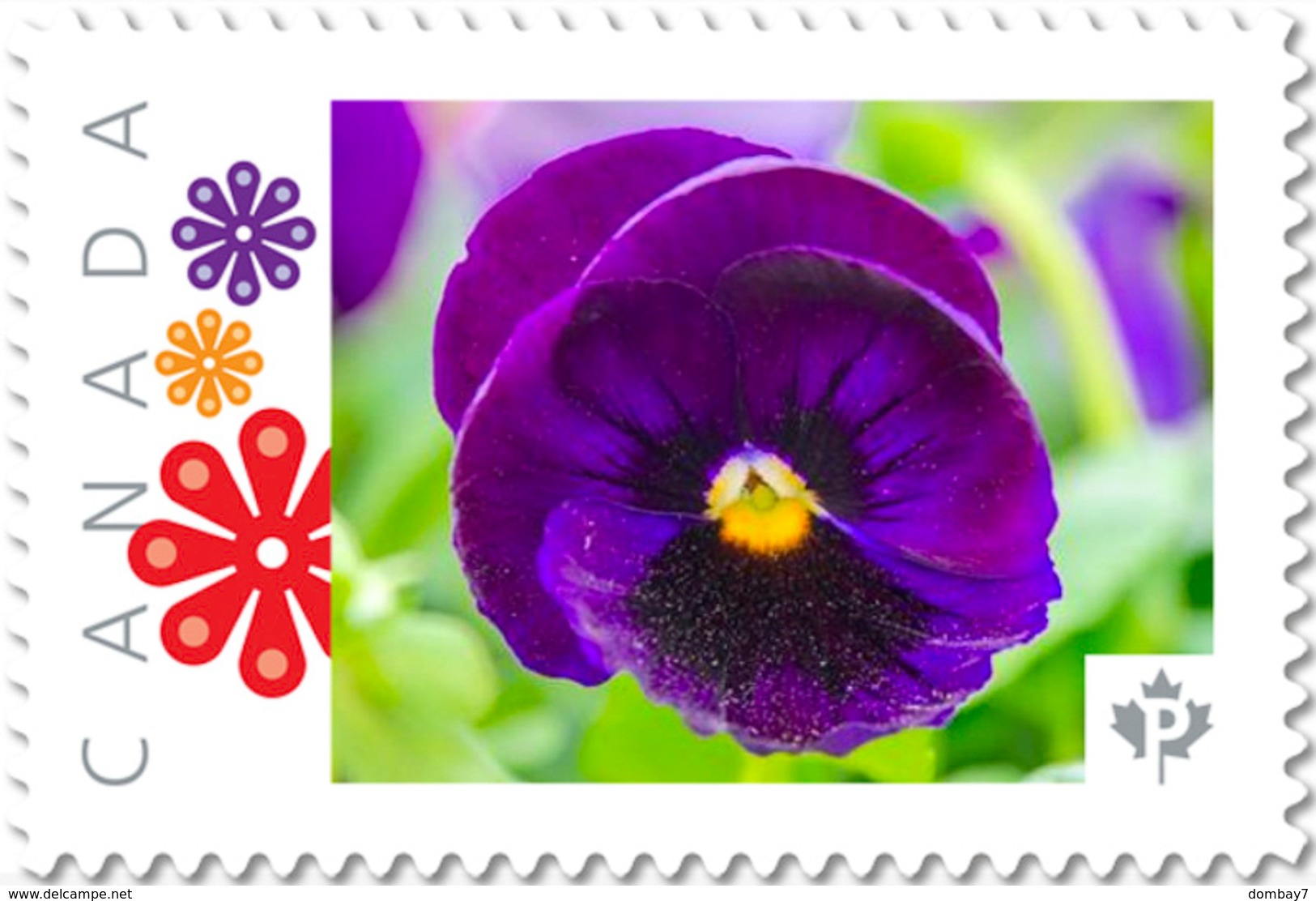 PANSY PURPLE Flower Unique Picture Postage Stamp Canada 2017 P17-04pa5-3 - Other & Unclassified