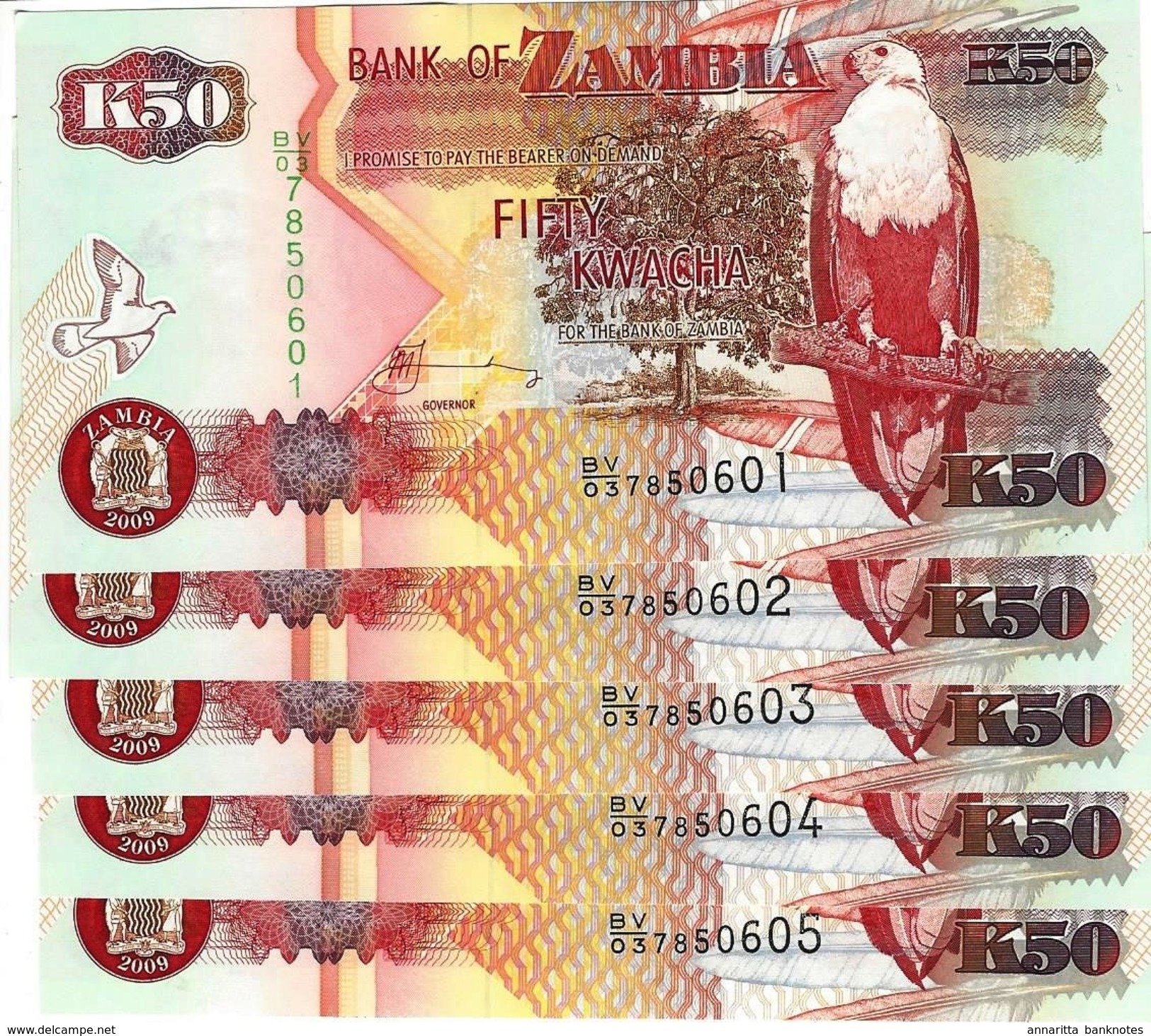 ZAMBIA 50 KWACHA 2009 P-37h UNC 5 PCS [ZM138i] - Sambia