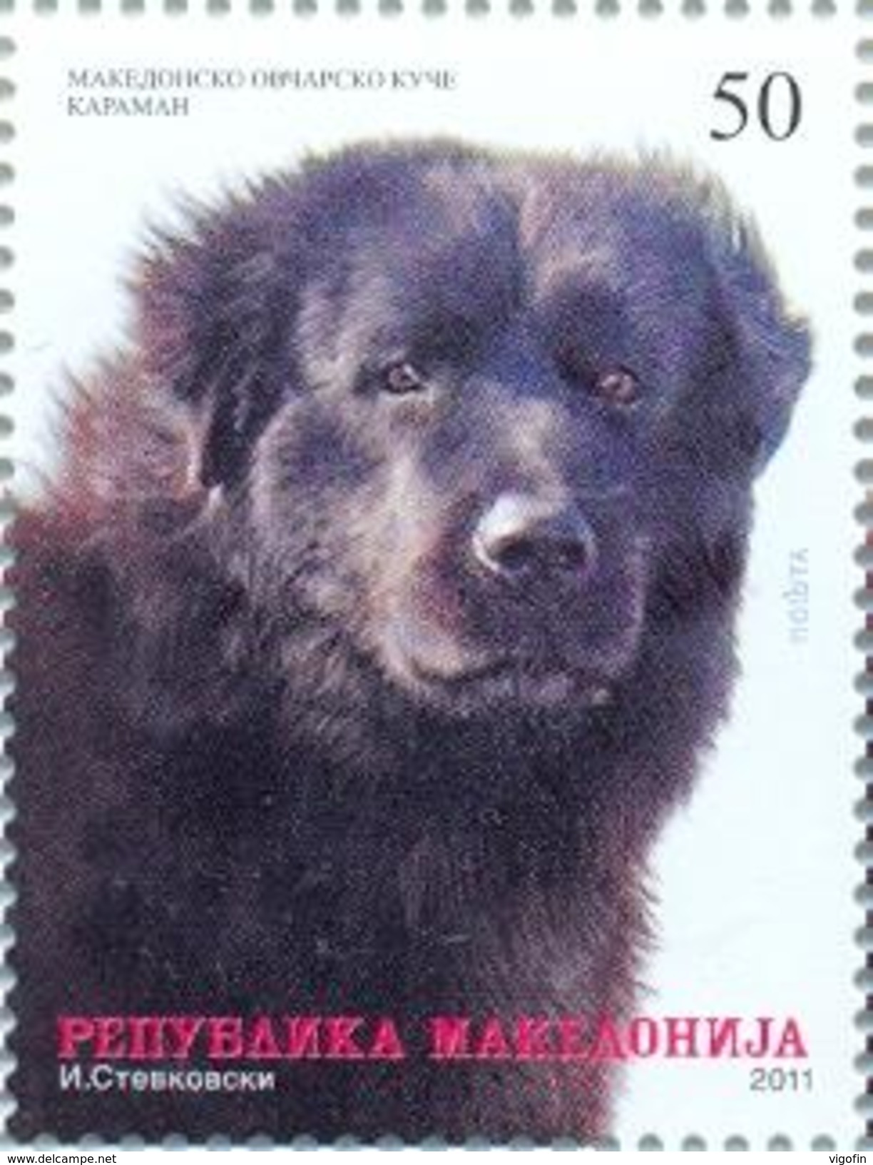 MK 2011-585 DOG, MACEDONIA, 1 X 1v, MNH - Nordmazedonien