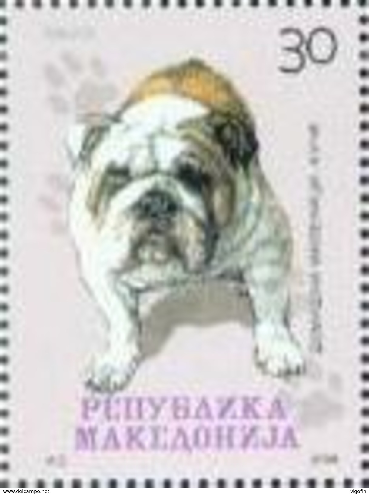 MK 2008-457 DOG, MAKEDONIA, 1 X 1v, MNH - Macédoine Du Nord