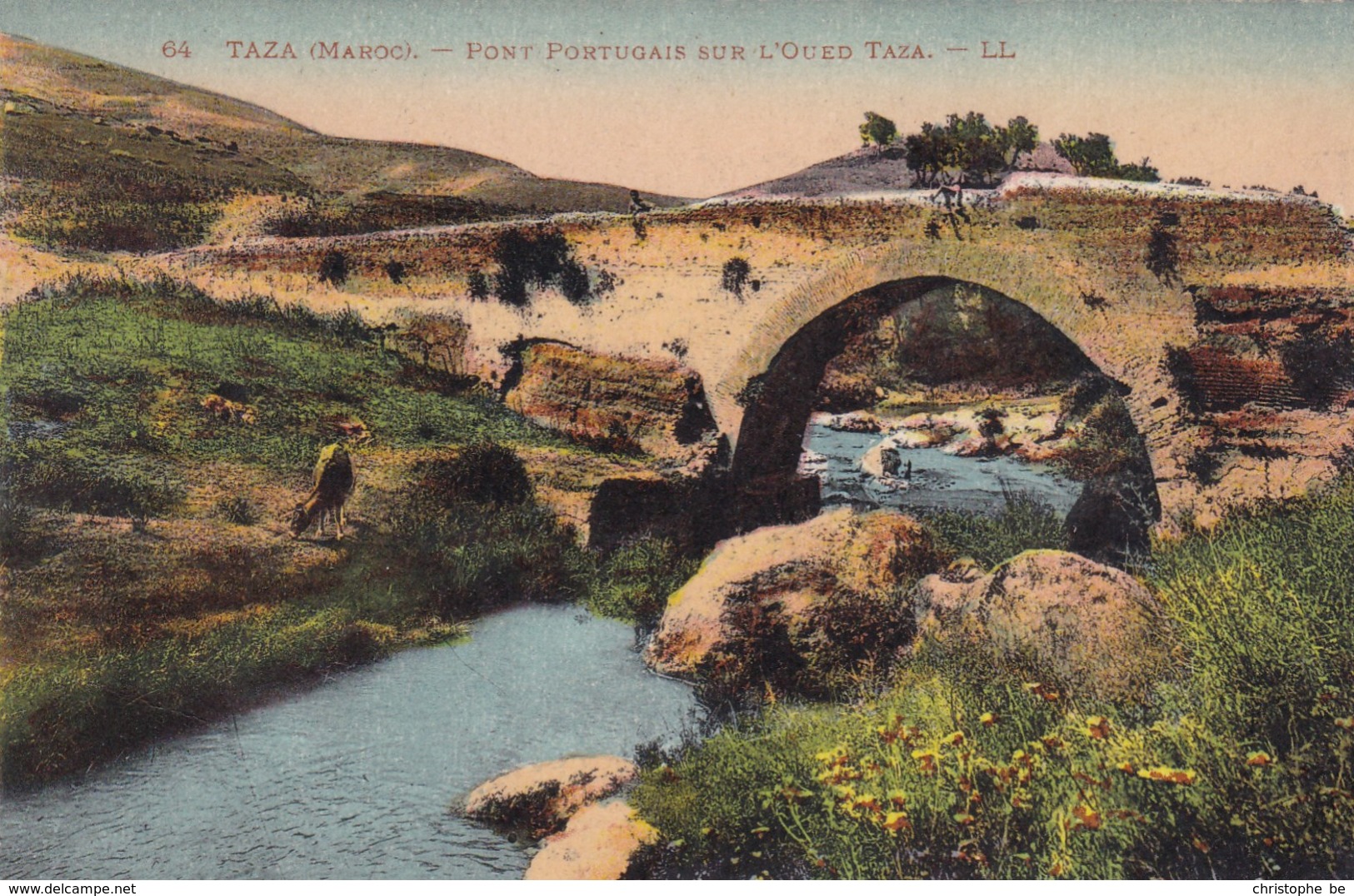 CPA Taza Pont Portugais Sur L'Oued Taza (pk34467) - Autres & Non Classés