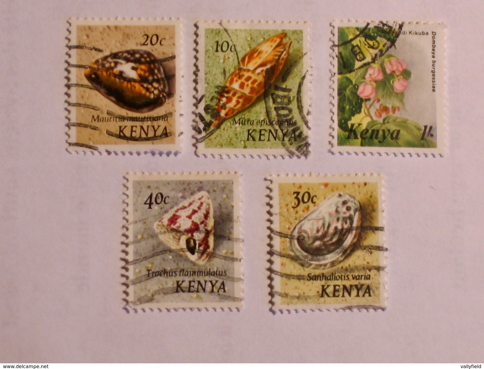 KENYA  1971-83   LOT# 4  SEA SHELLS - Kenia (1963-...)