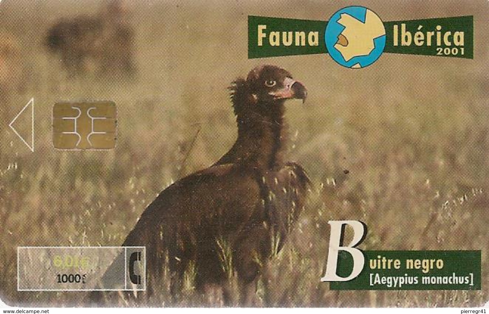 CARTE-PUCE-ESPAGNE-06/01--OISEAU-VAUTOUR MOINE--TBE - Eagles & Birds Of Prey