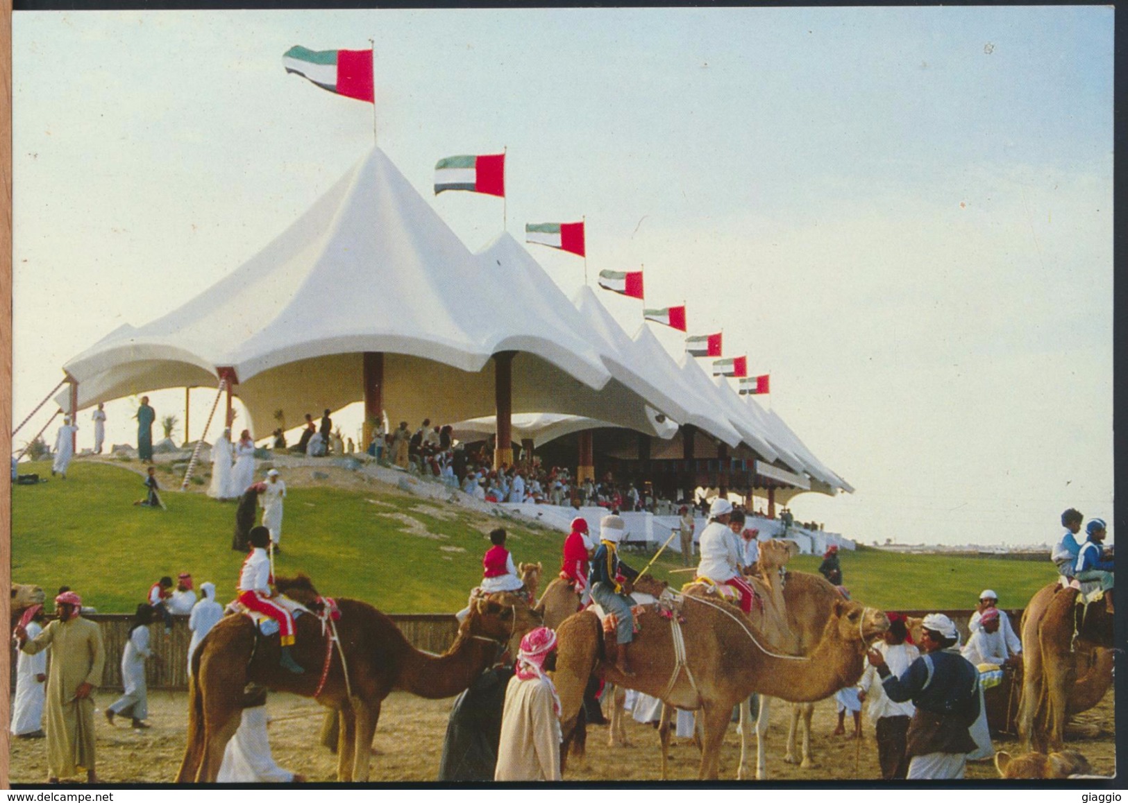 °°° 3953 - UNITED ARAB EMIRATES - CAMEL RACING °°° - United Arab Emirates