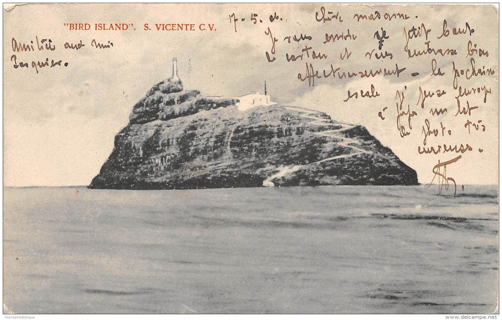 CAP VERT / Bird Island - Cap Vert