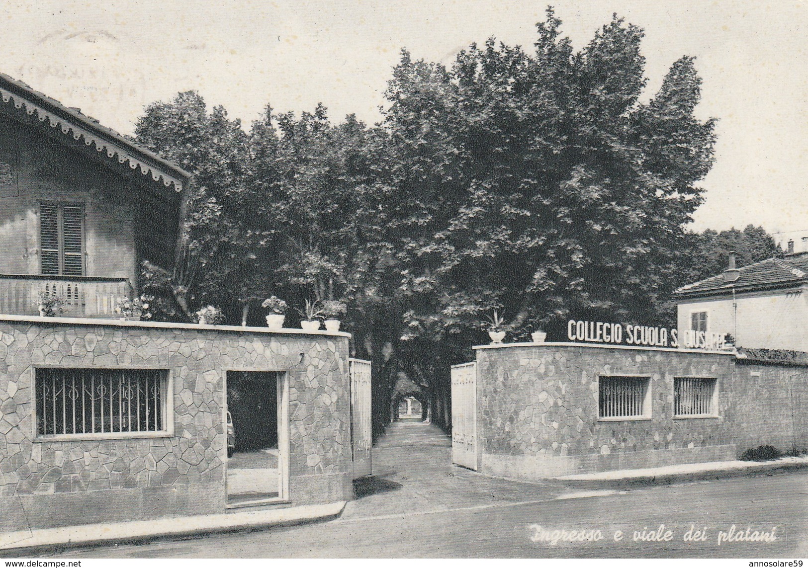 CARTOLINA: RIVOLI (TO) COLLEGIO SCUOLA S. GIUSEPPE - INGRESSO E VIALE DEI PLATANI - F/G - B/N - VIAGGIATA - Rivoli