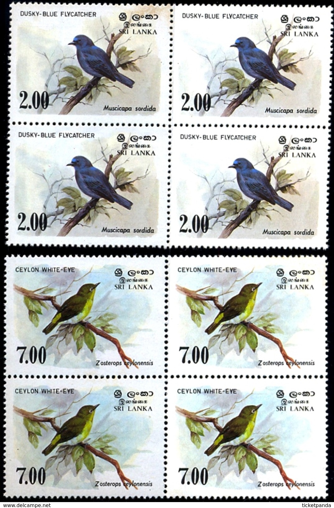 BIRDS OF CEYLON WOOD PIGEON, WHITE EYE, FLYCATCHER& COUCAL-SET OF 5 IN BLOCKS OF 4-MNH-H1-201 - Cuckoos & Turacos