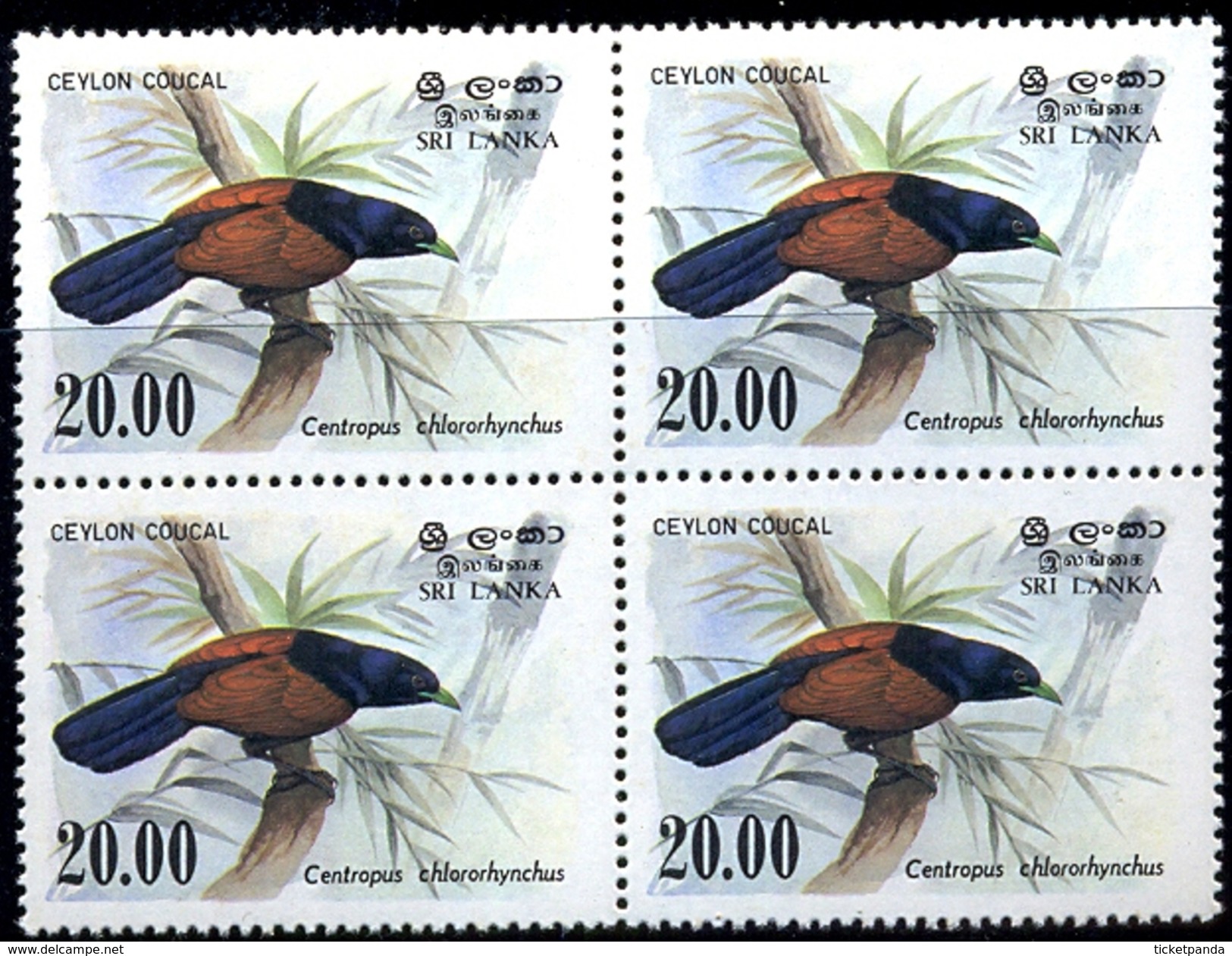 BIRDS OF CEYLON WOOD PIGEON, WHITE EYE, FLYCATCHER& COUCAL-SET OF 5 IN BLOCKS OF 4-MNH-H1-201 - Cuco, Cuclillos