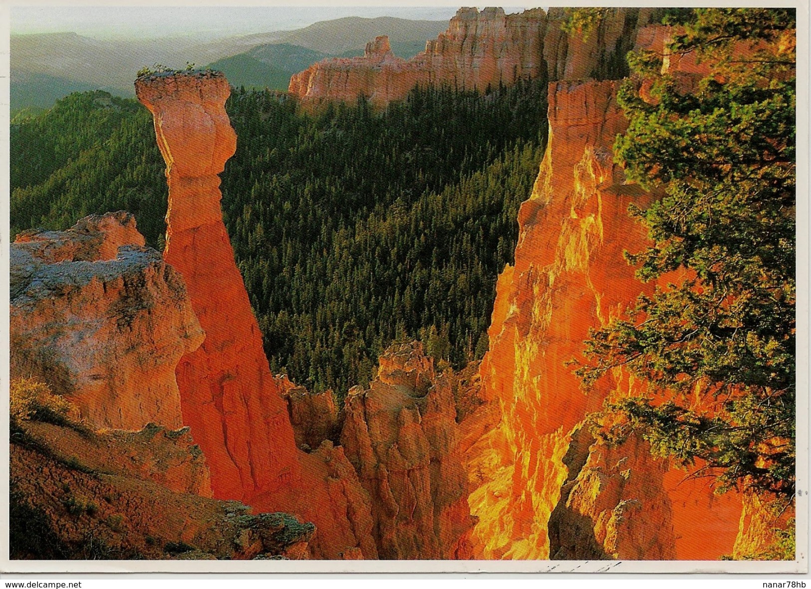 CPM Radiant Colors Refect Of The Cliff Walls Of Agua Canyon - Bryce Canyon