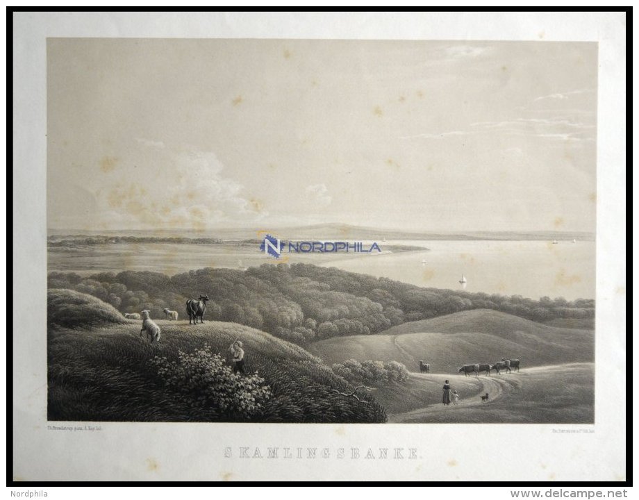 SKAMLINGSBANKE (Skamlingsbanke), Landschaft Mit Flu&szlig; Und Kleiner Tierherde Im Vordergrund, Lithographie Mit Tonpla - Lithographien