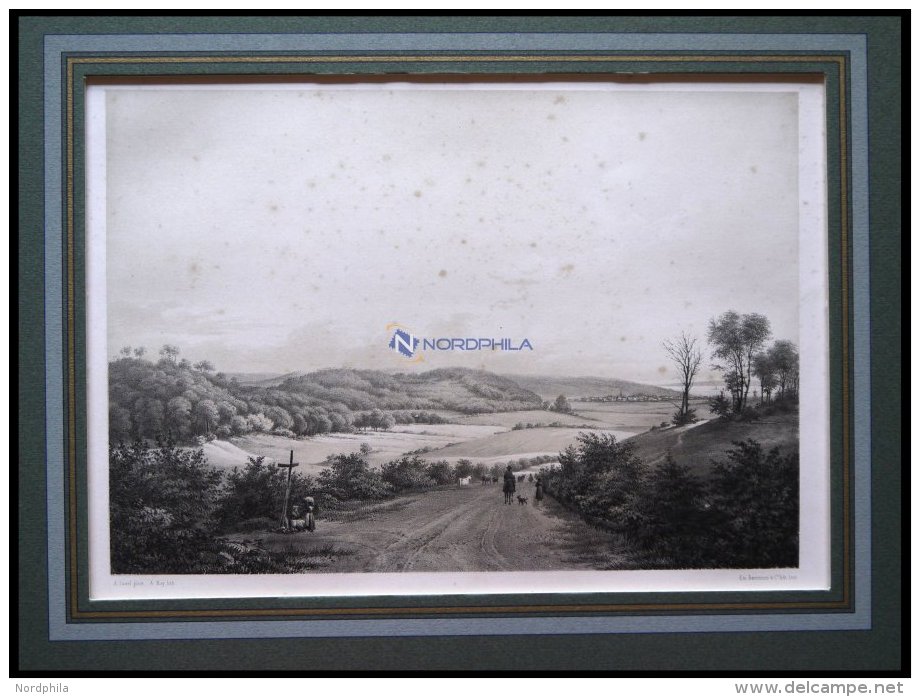 APENRADE (Aabenraa), Gesamtansicht Aus Der Ferne Aus Einem Waldweg Heraus, Lithographie Mit Tonplatte Von Alexander Nay - Lithographies