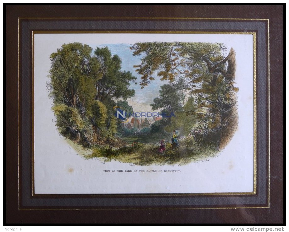 DARMSTADT: Partie Aus Dem Schlo&szlig;park, Kolorierter Holzstich Von P&uuml;ttner Um 1880 - Lithographien