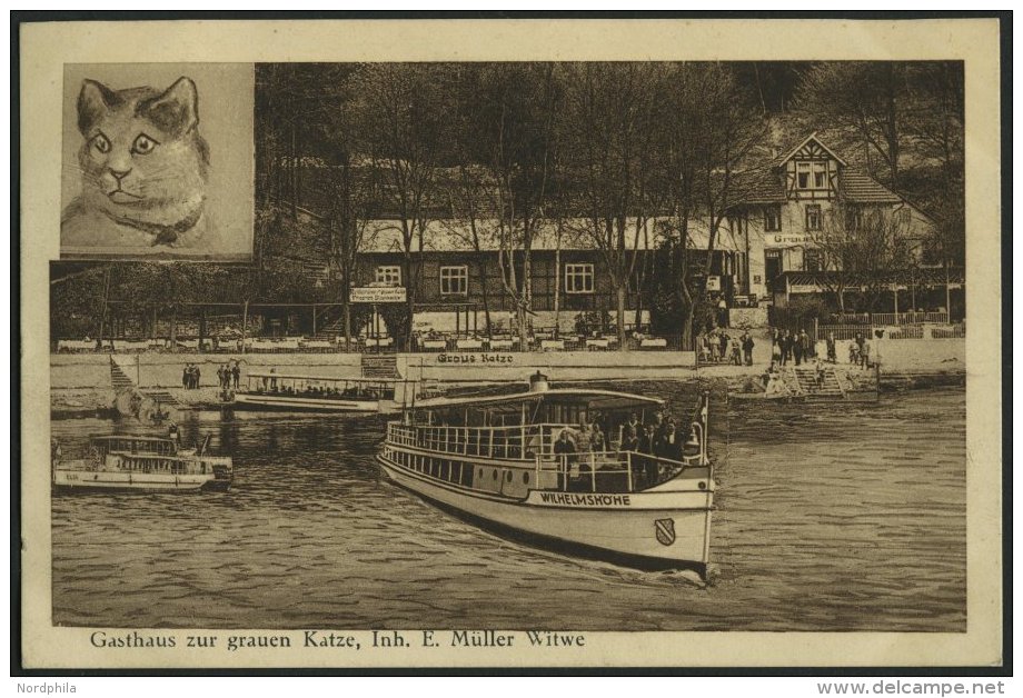 DEUTSCHLAND ETC. FULDATHAL BEI KASSEL, Gasthaus Zur Grauen Katze, Bahnpoststempel Halle-Kassel - Other & Unclassified