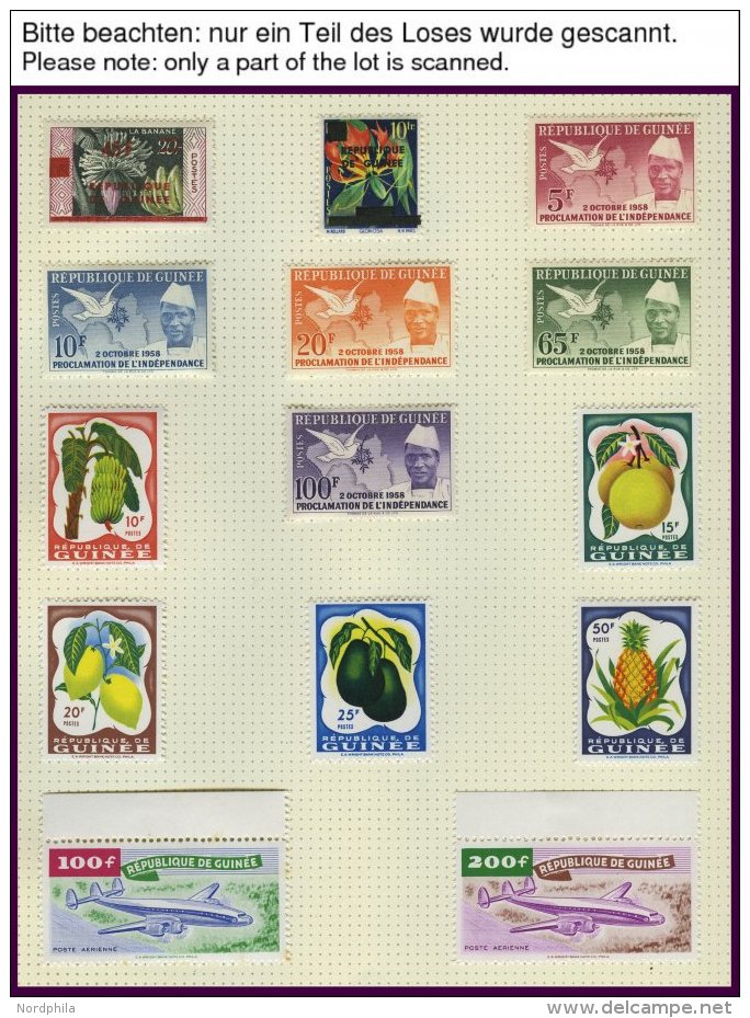GUINEA *, **, 1959-68, Praktisch Komplette Sammlung Im Album (ohne Ungez&auml;hnte Ausgaben), Blocks Wohl Alle Postfrisc - Guinea (1958-...)