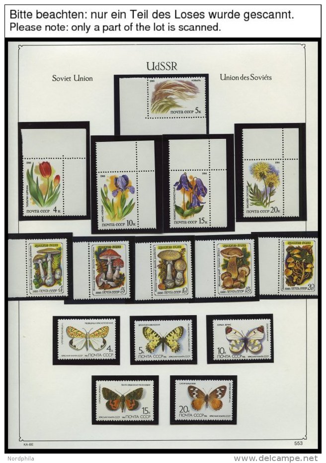 SAMMLUNGEN, LOTS **, Postfrische Sammlung Sowjetunion Von 1986-91 Im KA-BE Album, Bis Auf Einige Ausgaben Von 1986 Und 8 - Sonstige & Ohne Zuordnung