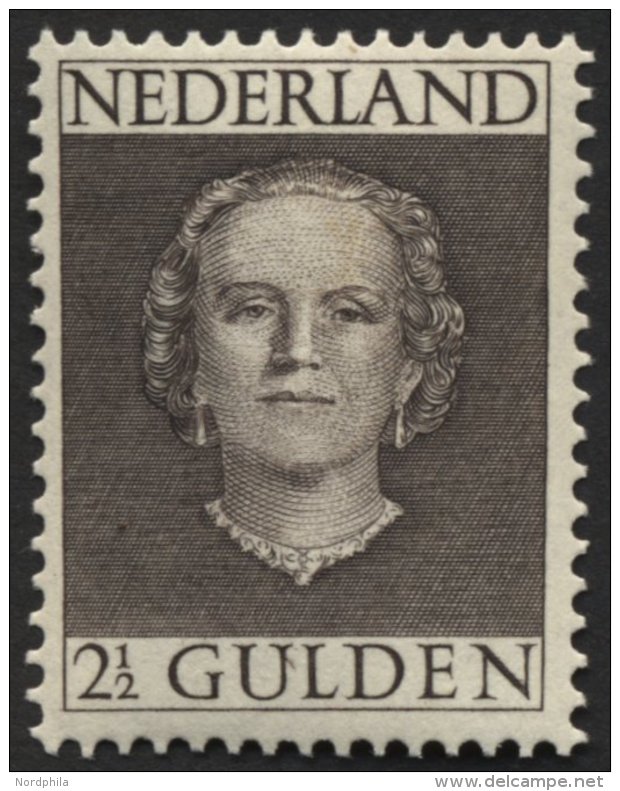 NIEDERLANDE 541 **, 1949, 21/2 G. Graubraun, Pracht, Mi. 200.- - Niederlande