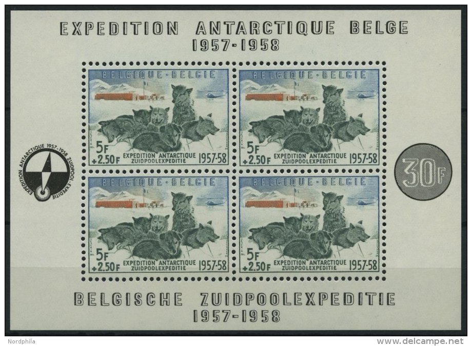 BELGIEN Bl. 25 **, 1957, Block S&uuml;dpolexpedition, Pracht, Mi. 150.- - Belgien