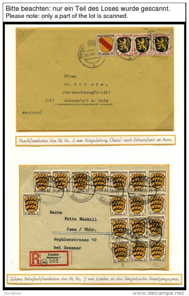 SAMMLUNGEN, LOTS *,**,o,Brief , Umfangreiche Sammlung Franz&ouml;sische Zone Von 1945-49 Im SAFE Album Mit Verschiedenen - Sonstige & Ohne Zuordnung