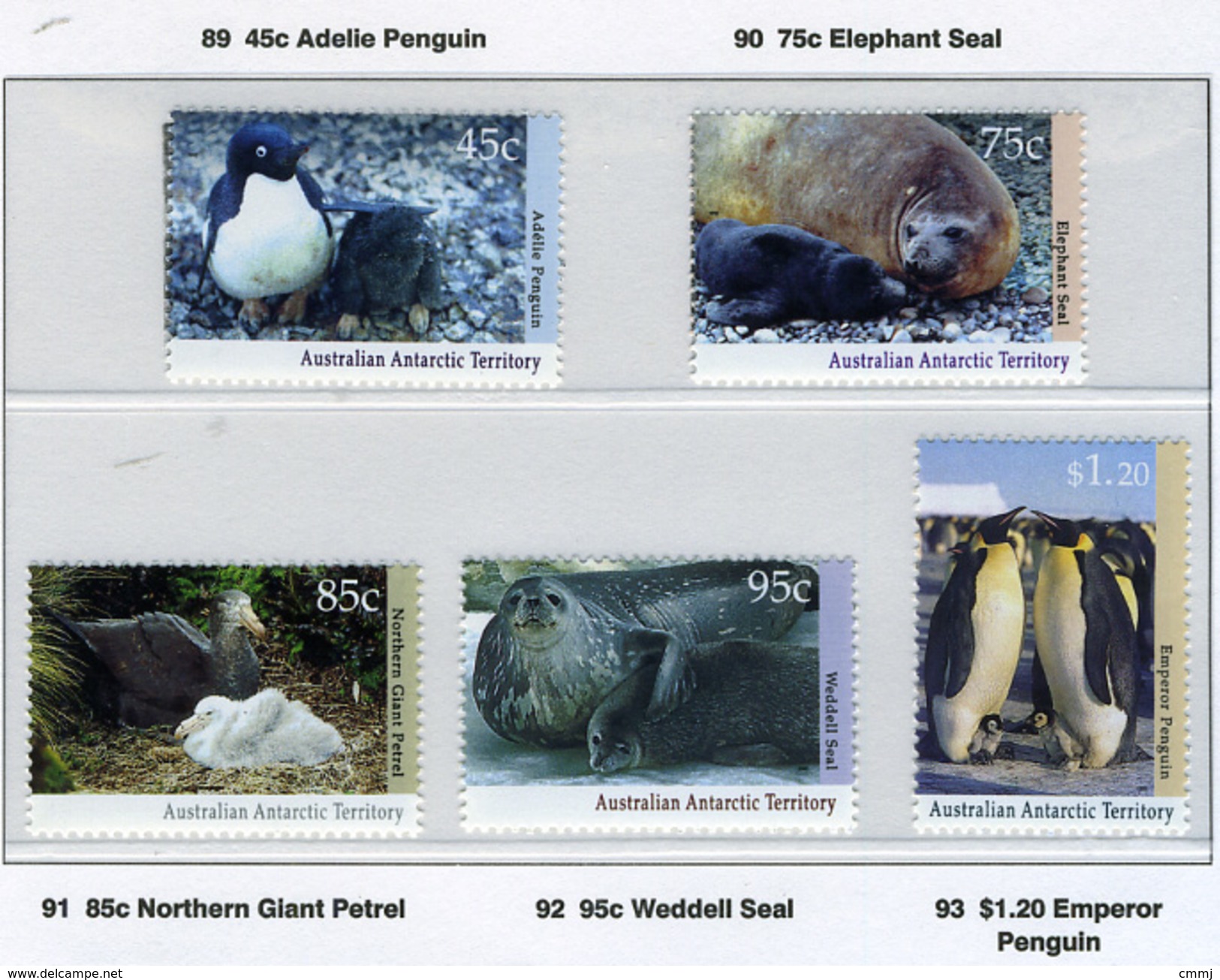 1992 - TERRITORIO ANTARTICO AUSTRALIANO - A.A.T  - Mi. Nr. 90/94 - NH - (CW2427.44) - Nuovi