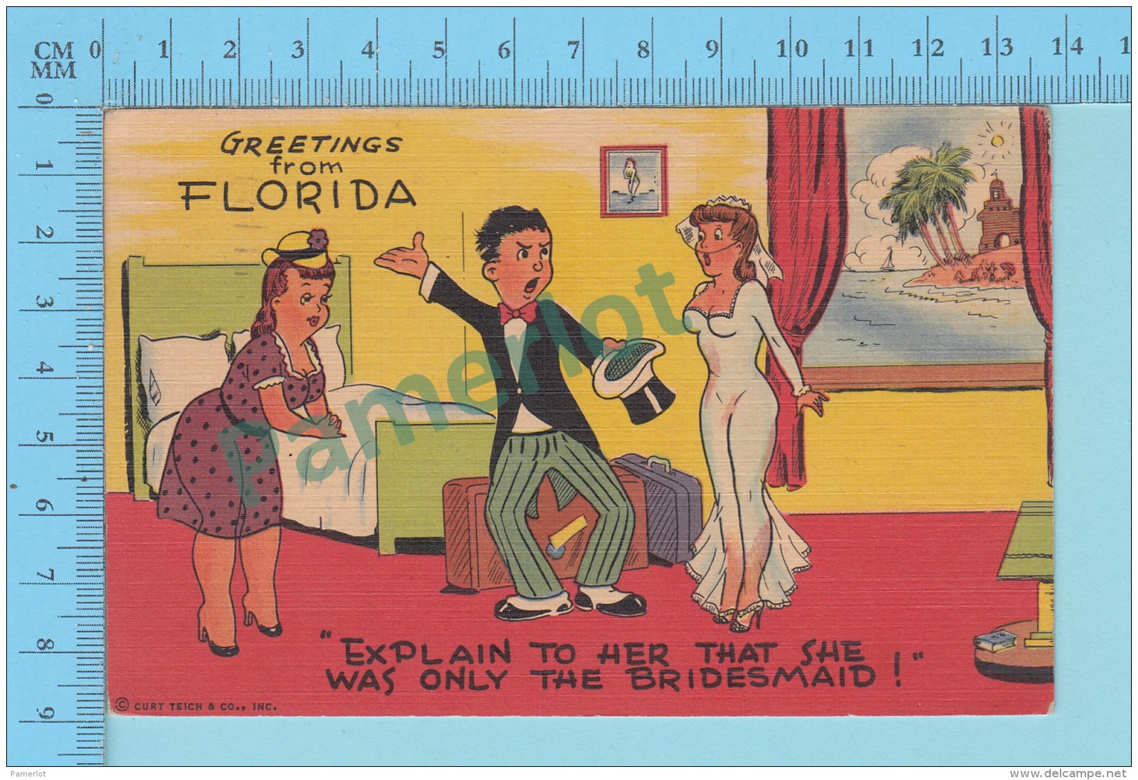 Humour -Greetings From Florida, Explain To Her  She Was Only The Bridesmaid- Post Card Carte Postale Cartolina - 2 Scans - Souvenir De...