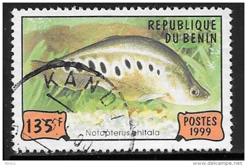 Benin(Dahomey) Scott # 1148 Used Fish,1999 - Benin - Dahomey (1960-...)