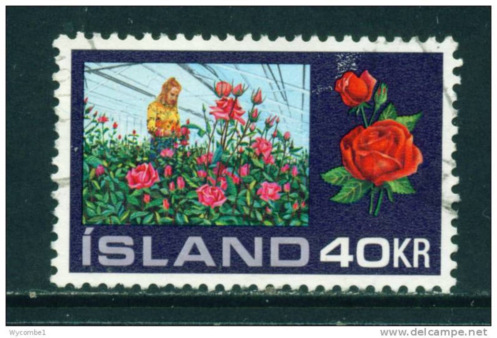 ICELAND - 1972 Hot House Cultivation 40k Used (stock Scan) - Used Stamps