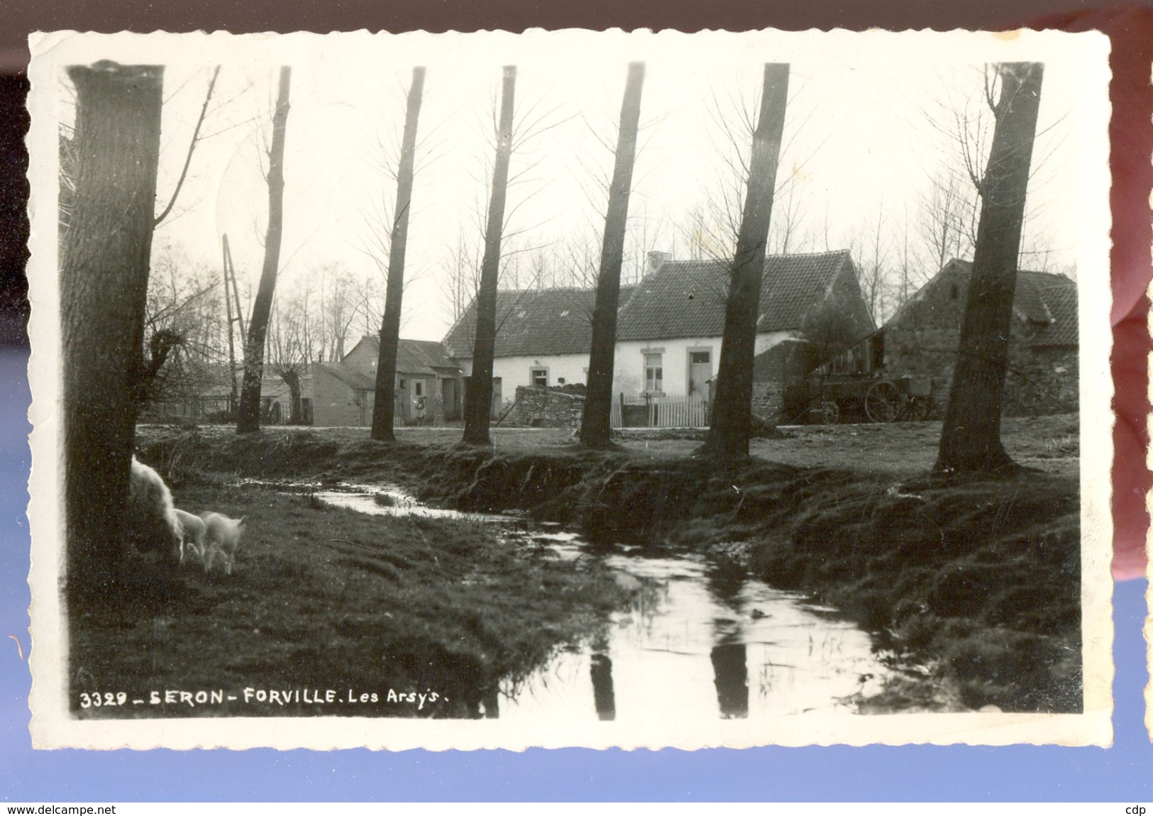 Cpsm Forville  1947 - Fernelmont