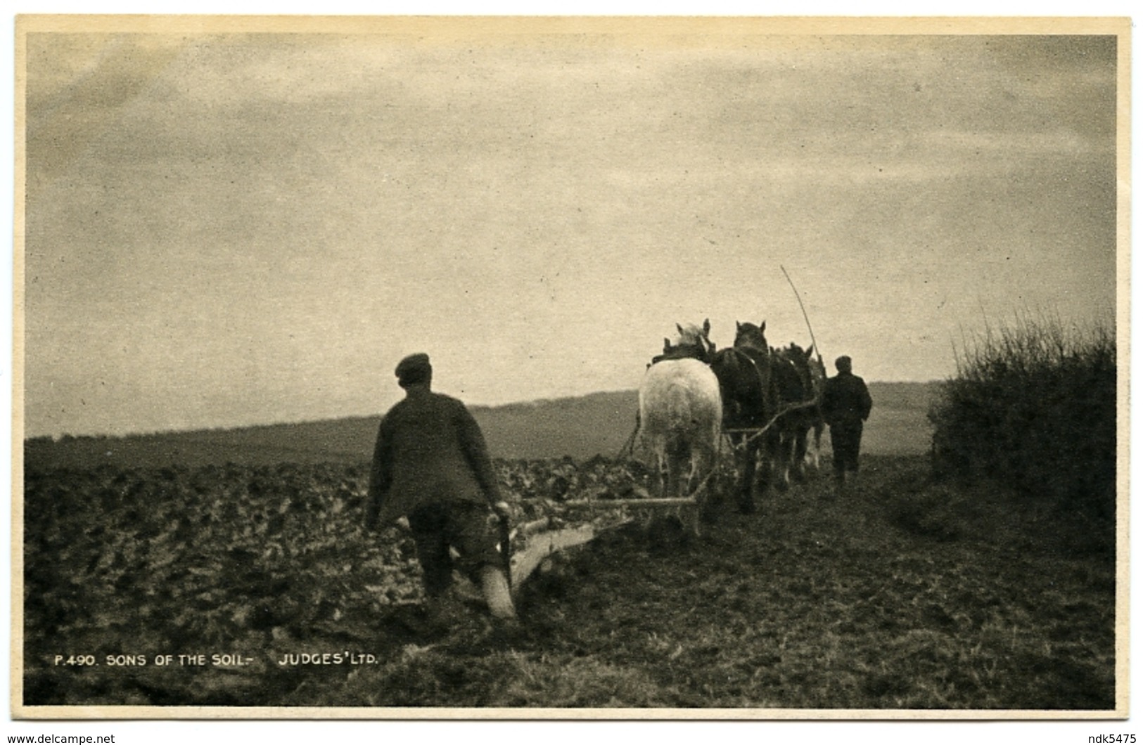 SOCIAL HISTORY : HORSES PLOUGHING FIELD : SONS OF THE SOIL - Cultivation