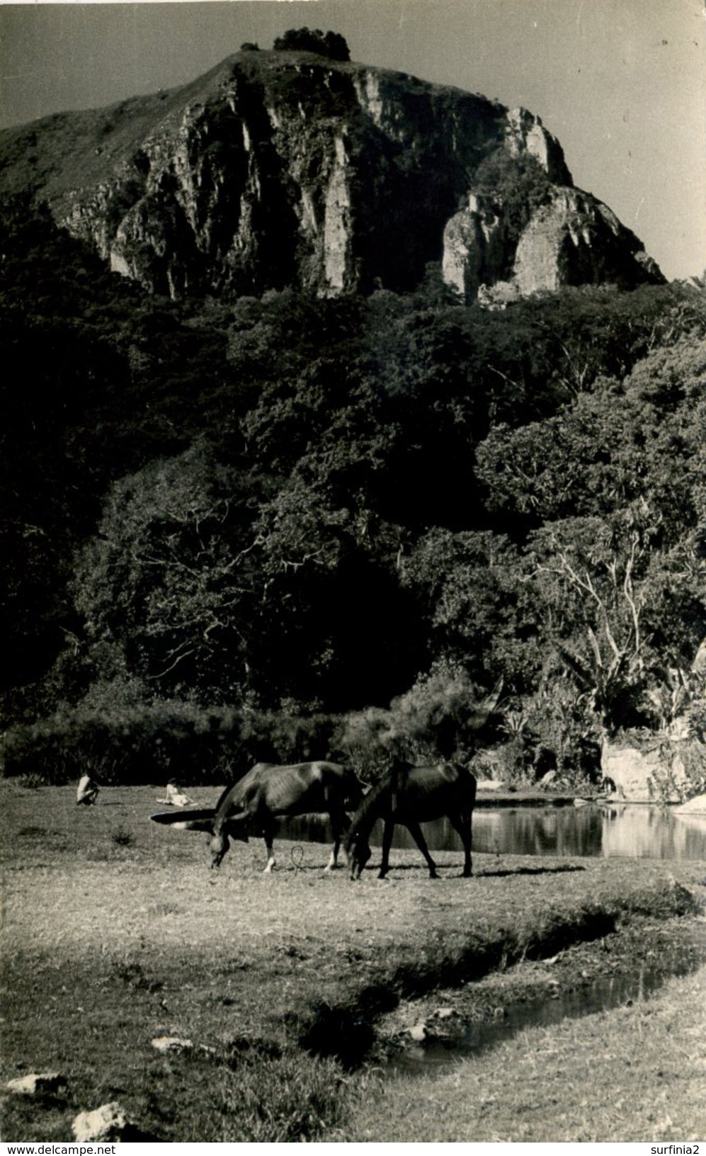 SOUTHERN RHODESIA - VUMBA - LEOPARD ROCK RP - Zimbabwe