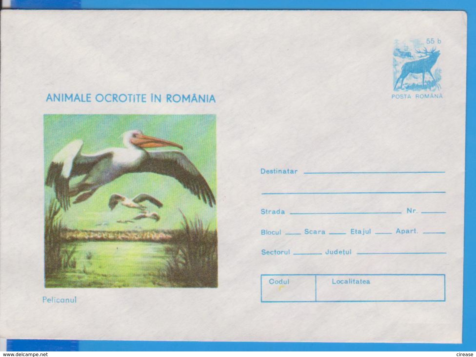 BIRD BIRDS PELICANS ROMANIA POSTAL STATIONERY - Pelikane