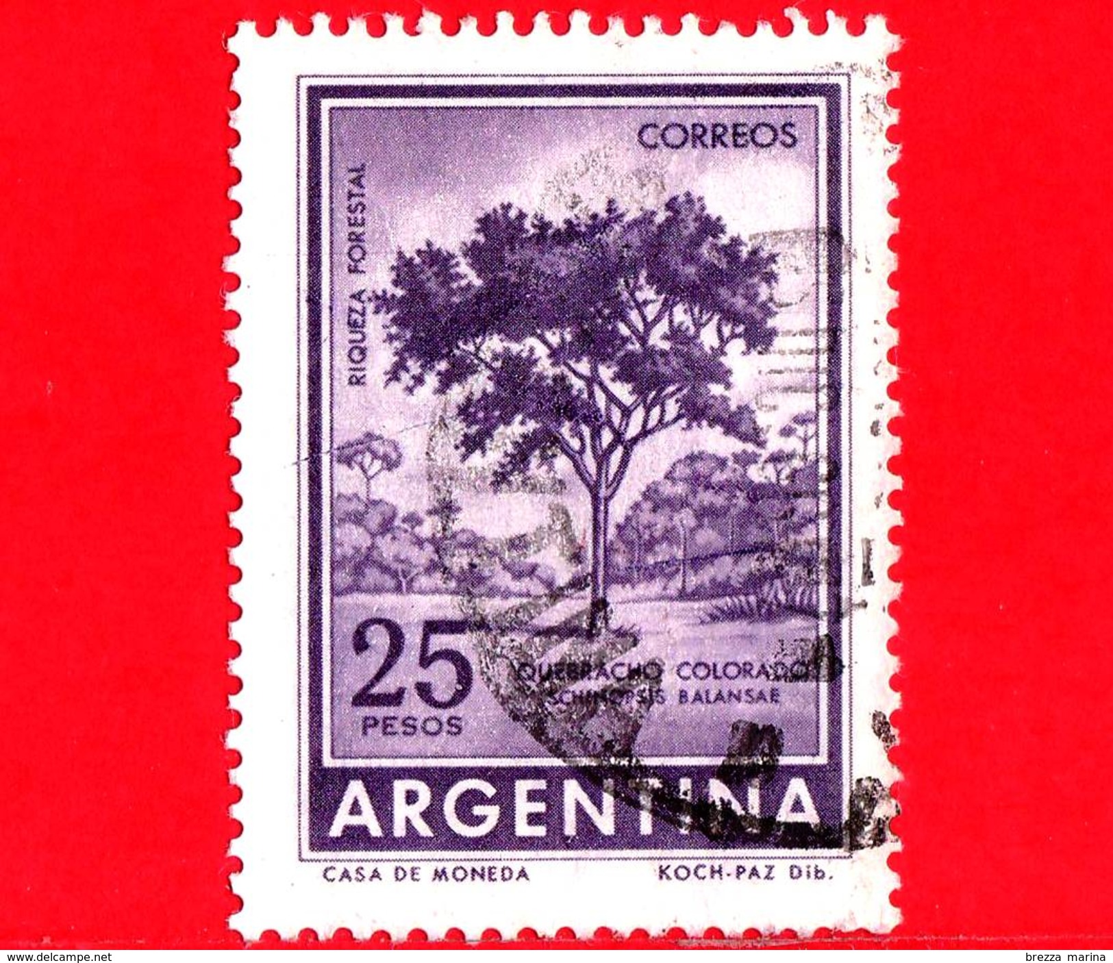 ARGENTINA - Usato - 1966 - Ricchezza Forestale - Schinopsis Balansae - Quebracho Colorado - 25 - Usati