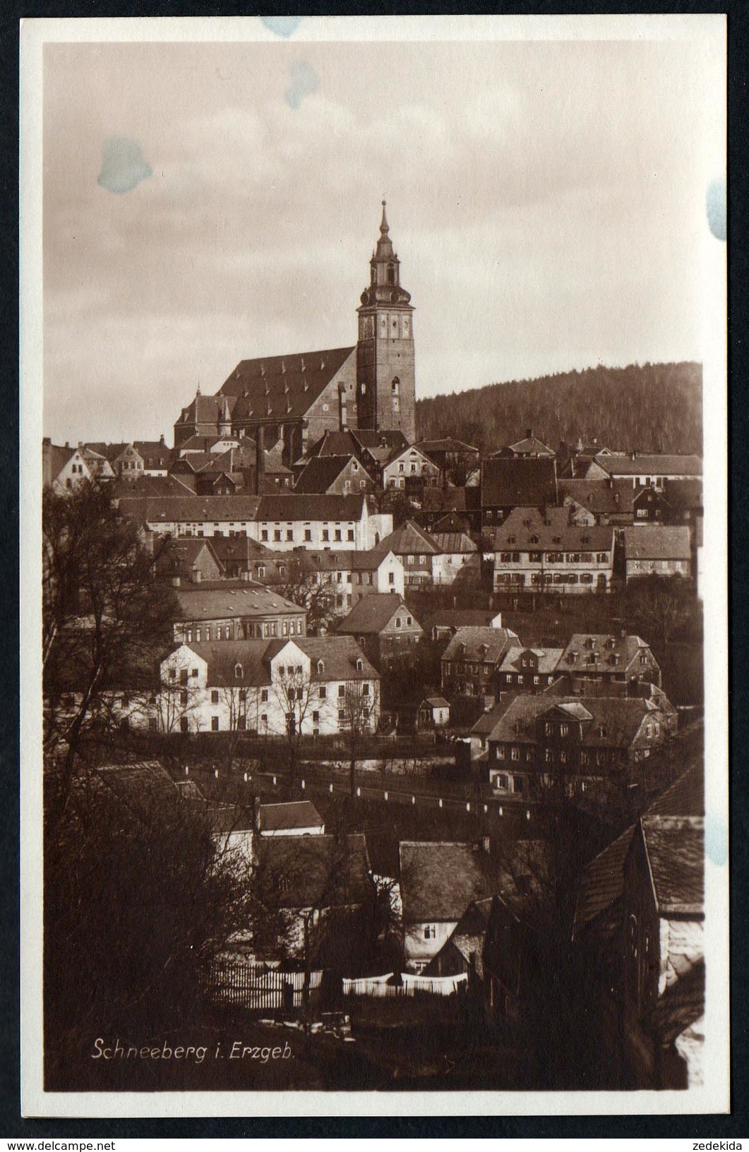 A2591 - Alte Foto Ansichtskarte - Schneeberg - Kirche - Landgraf - Schneeberg