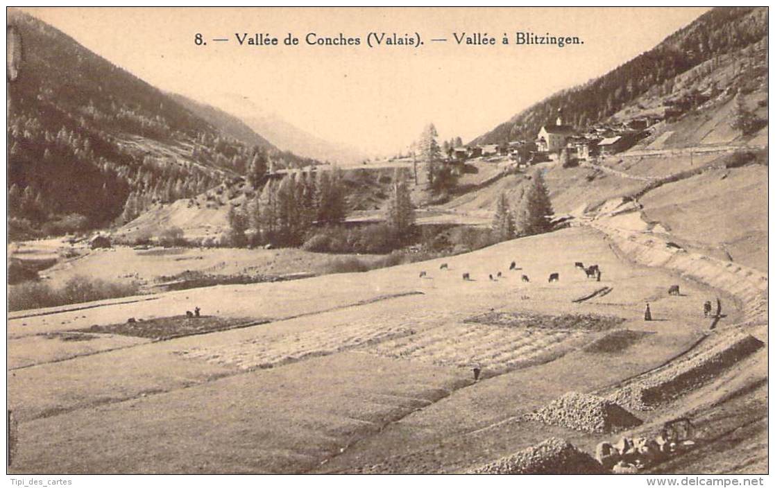 Suisse - Vallée De Conches -Vallée à Blitzingen - Compagnie Suisse Du Chemin De Fer De La Furka (travaux) - Other & Unclassified