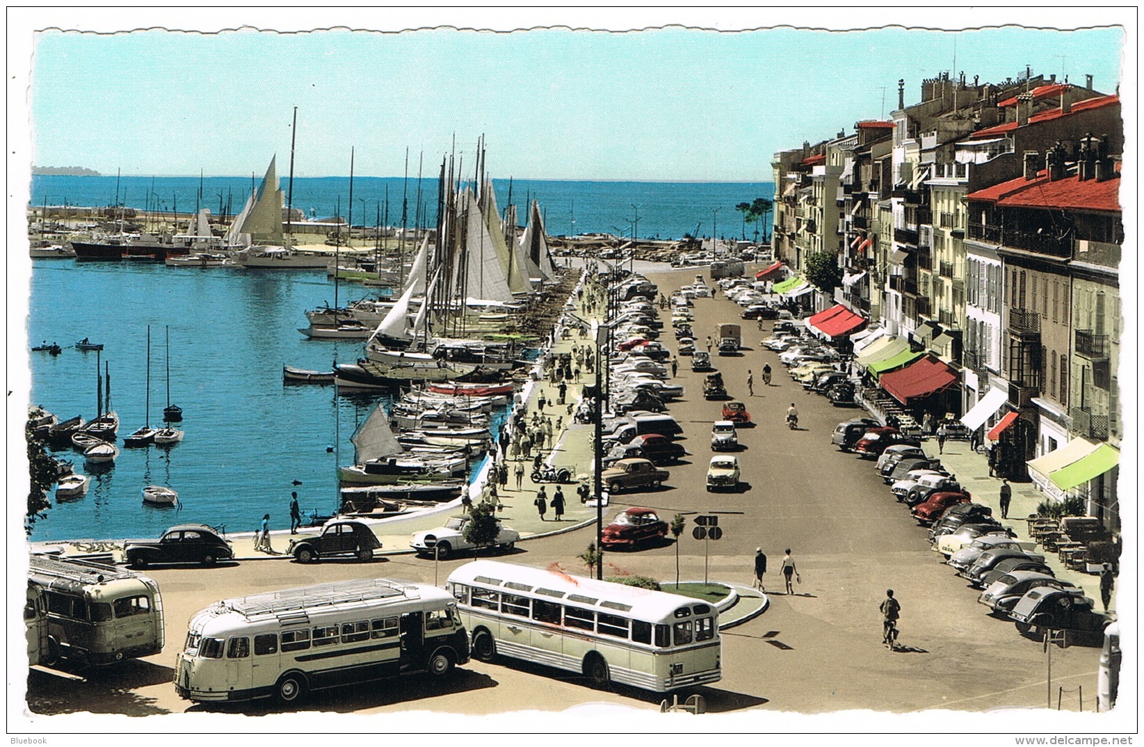 RB 1145 - Real Photo Postcard - Buses Coaches - Le Quai Saint-Pierre Cannes France - Cannes