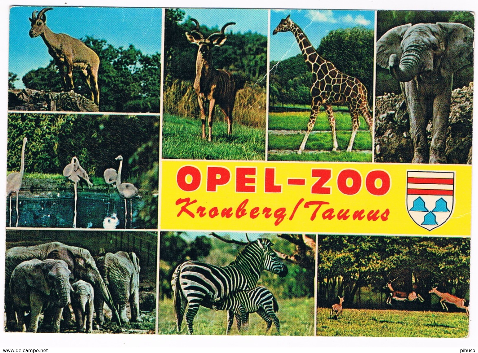 D-7468    KRONBERG : Opel-Zoo - Kronberg