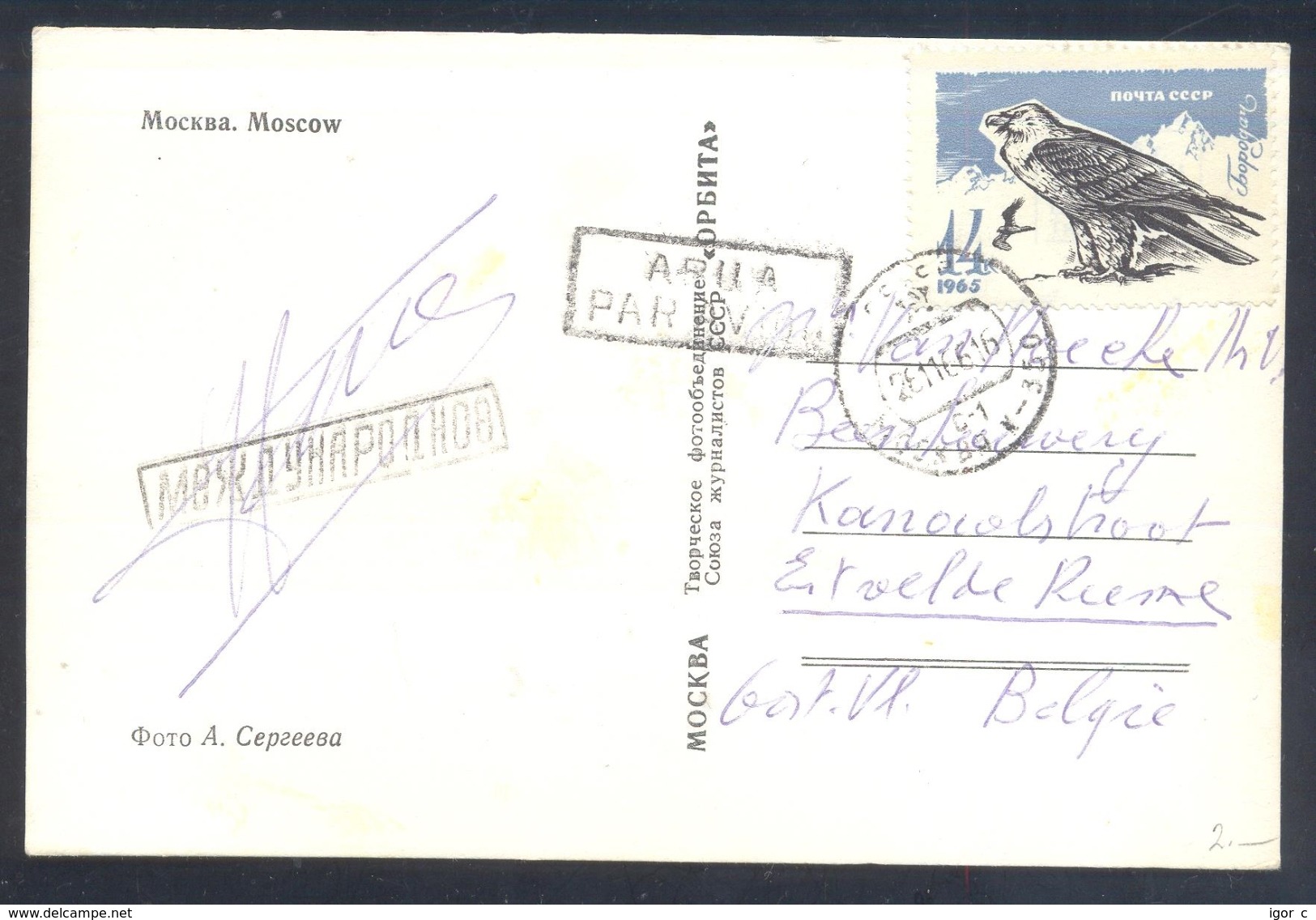 Russia CCCP 1966 Moscow Air Mail Postcard: Fauna Birds: Eagle Adler Aigle &#x9E70; Aquilla  Aguila; Birds Of Pray - Adler & Greifvögel